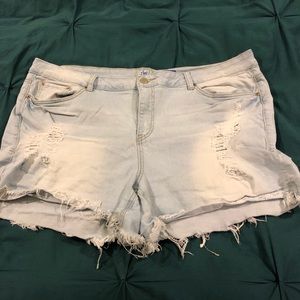 YMI Distressed Shorts